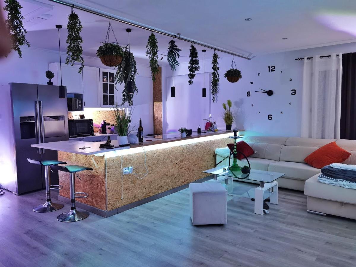 Stag Hendo25Pax Only 10Min To The Party Area Despedidas 25Pax 10 Min De La Zona De Fiesta Consultar Precio Benidorm Extérieur photo